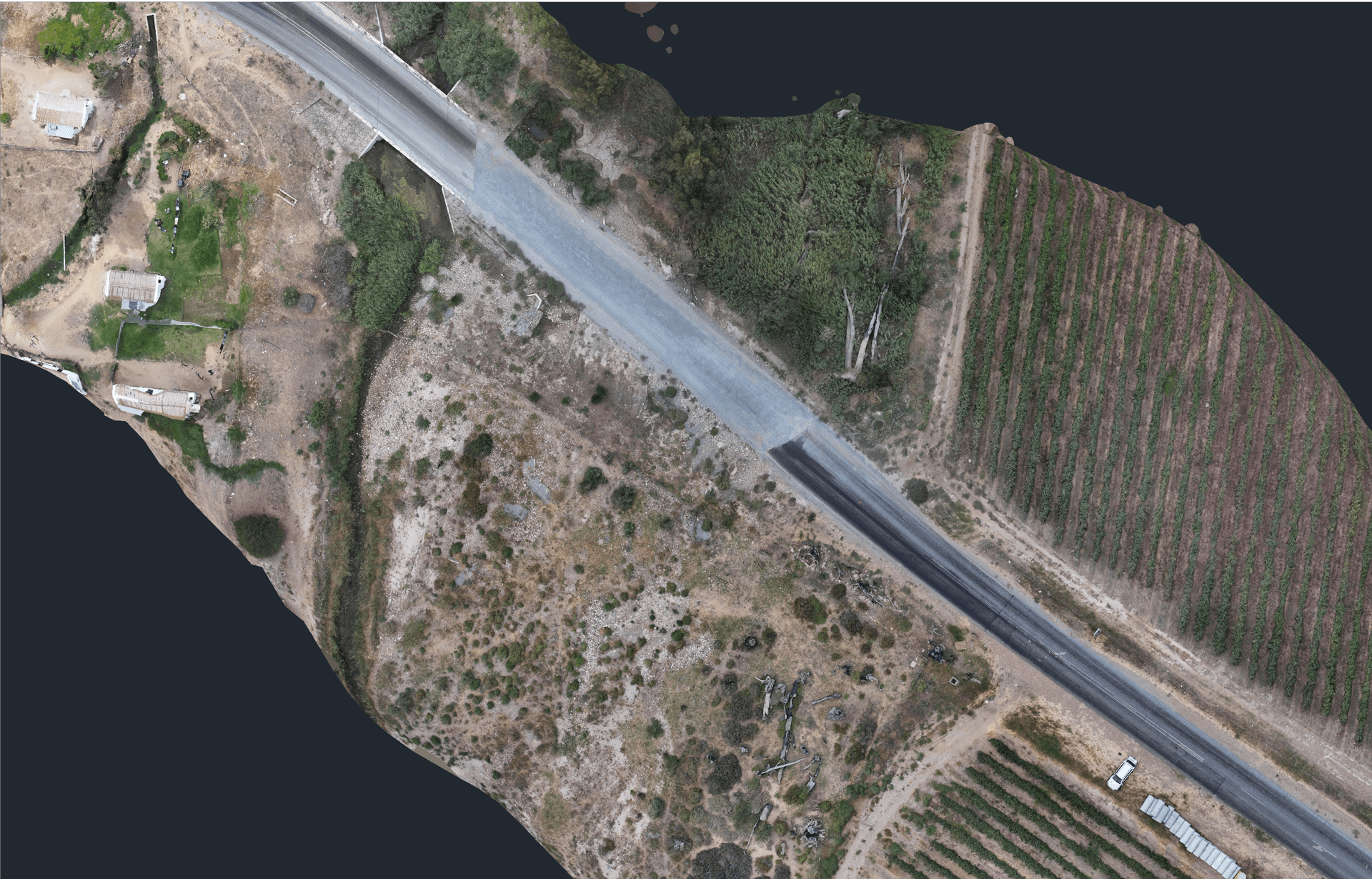 Orthomosaic Mapping